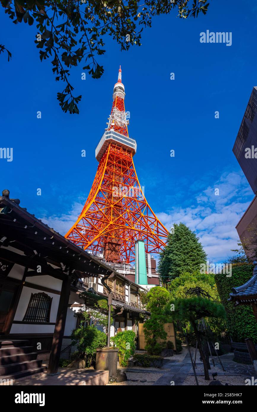 Blick auf den Tokyo Tower und den Shinkoin Buddhistischen Tempel vor blauem Himmel, Shibakoen, Minato City, Tokio, Honshu, Japan Stockfoto