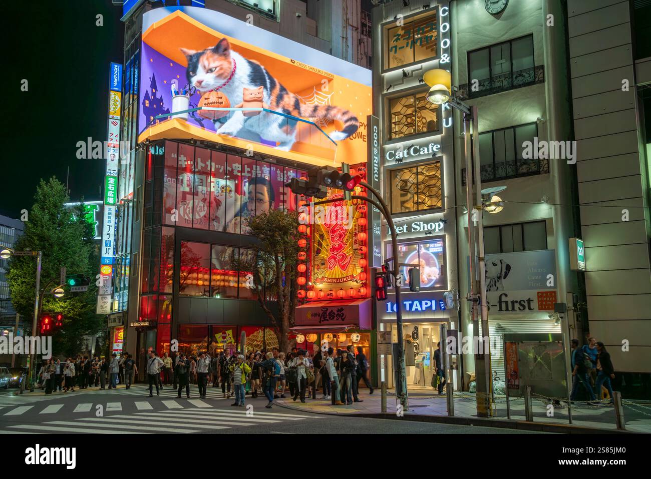 Blick auf die riesige 3D-Katze und die neonbeleuchtete Kabukicho-Straße bei Nacht, Shinjuku-Stadt, Kabukicho, Tokio, Honshu, Japan Stockfoto