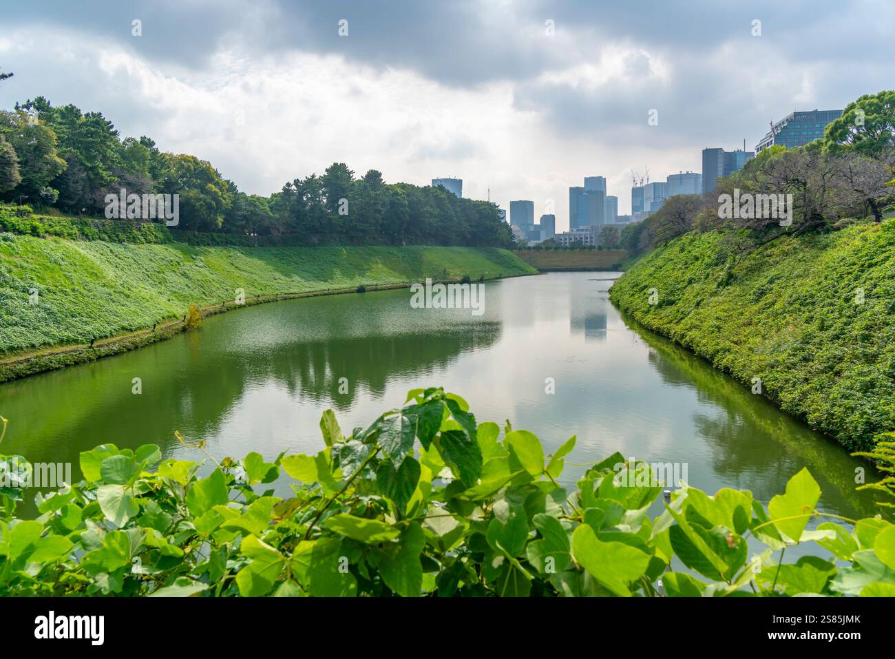 Blick auf die Stadtgebäude und den Sakuradabori-Graben des Kaiserpalastes, Chiyoda, Tokio, Honshu, Japan Stockfoto