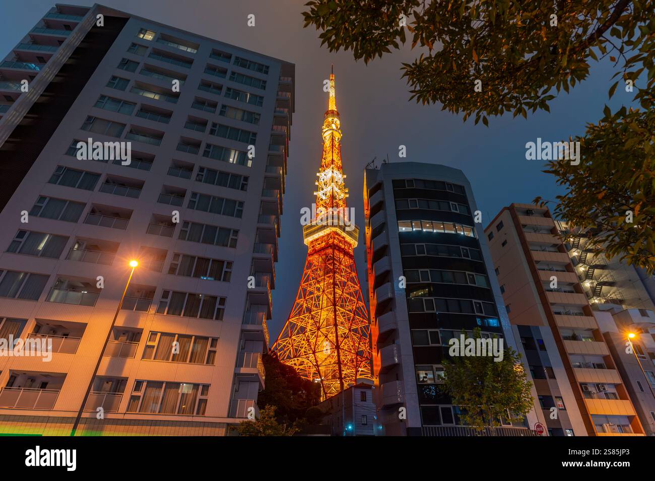 Blick auf den Tokyo Tower und die Stadtgebäude bei Nacht, Minato City, Tokio, Honshu, Japan Stockfoto