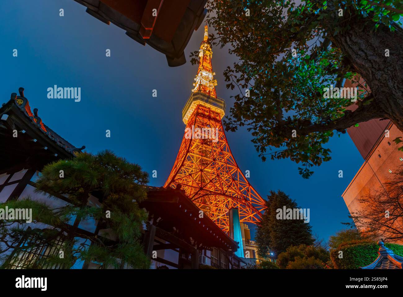 Blick auf den Tokyo Tower und den buddhistischen Rurikoji-Tempel bei Nacht, Minato City, Tokio, Honshu, Japan Stockfoto