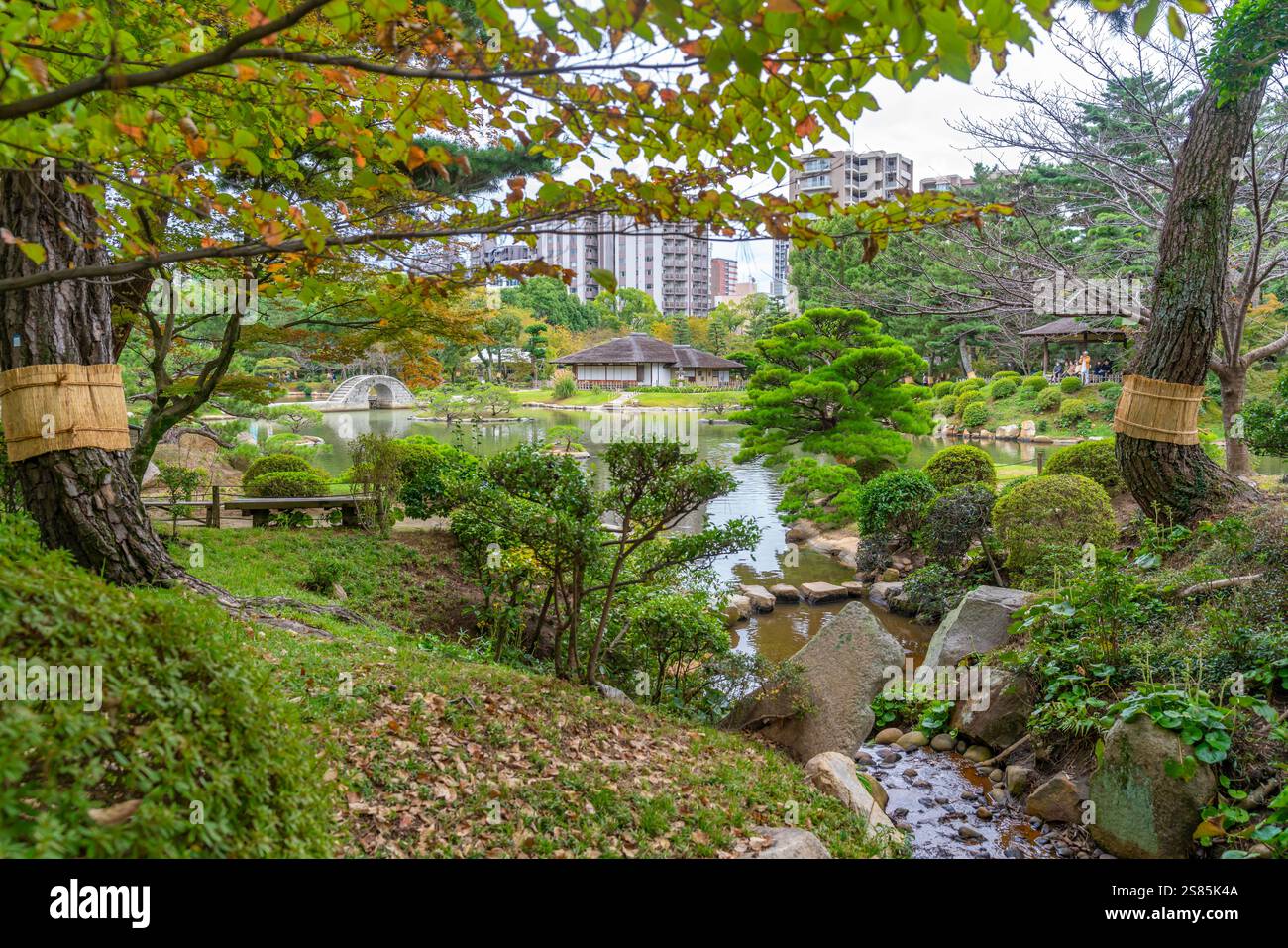 Blick auf den Takueichi-Teich im Shukkeien-Garten, Kaminoboricho, Naka Ward, Hiroshima, Honshu, Japan Stockfoto
