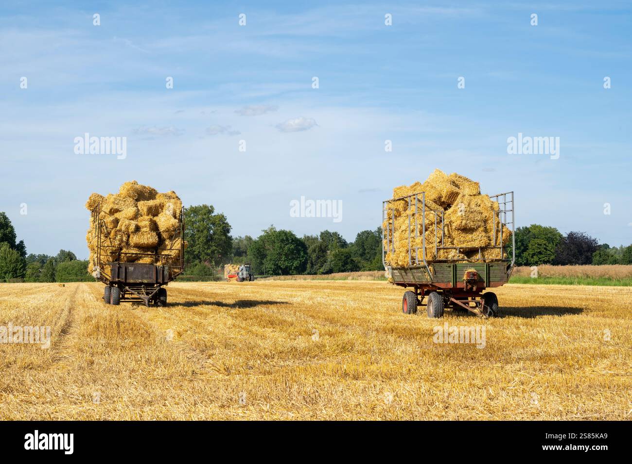 Heuwagen auf einem Getreidefeld Stockfoto
