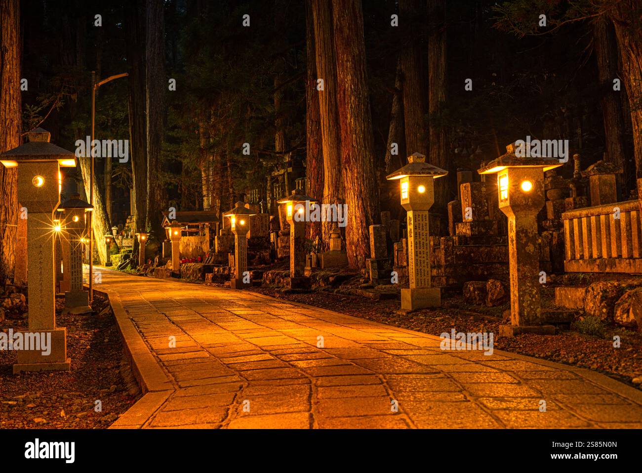 Steinlaternen im tiefen Wald von Koyasan bei Nacht, buddhistischer Friedhof von Oku-no-in, Koyasan (Koya-san), Kansai, Honshu, Japan Stockfoto