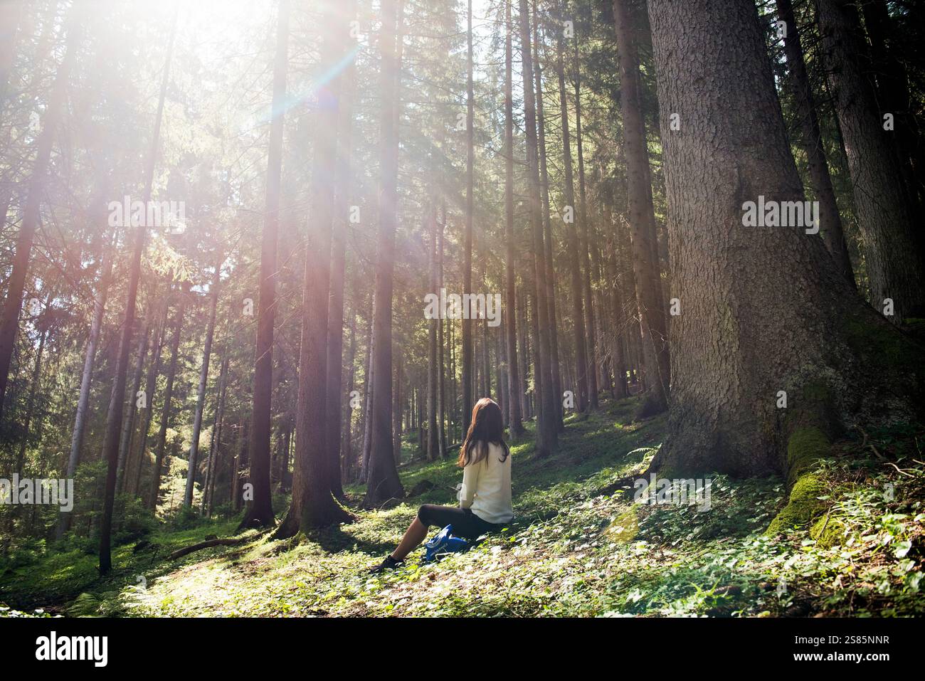 Junge Frau, die sich im europäischen Fichtenwald in der Nähe von Villabassa im Hochpustertal, Südtirol (Südtirol), Italien, erholt Stockfoto