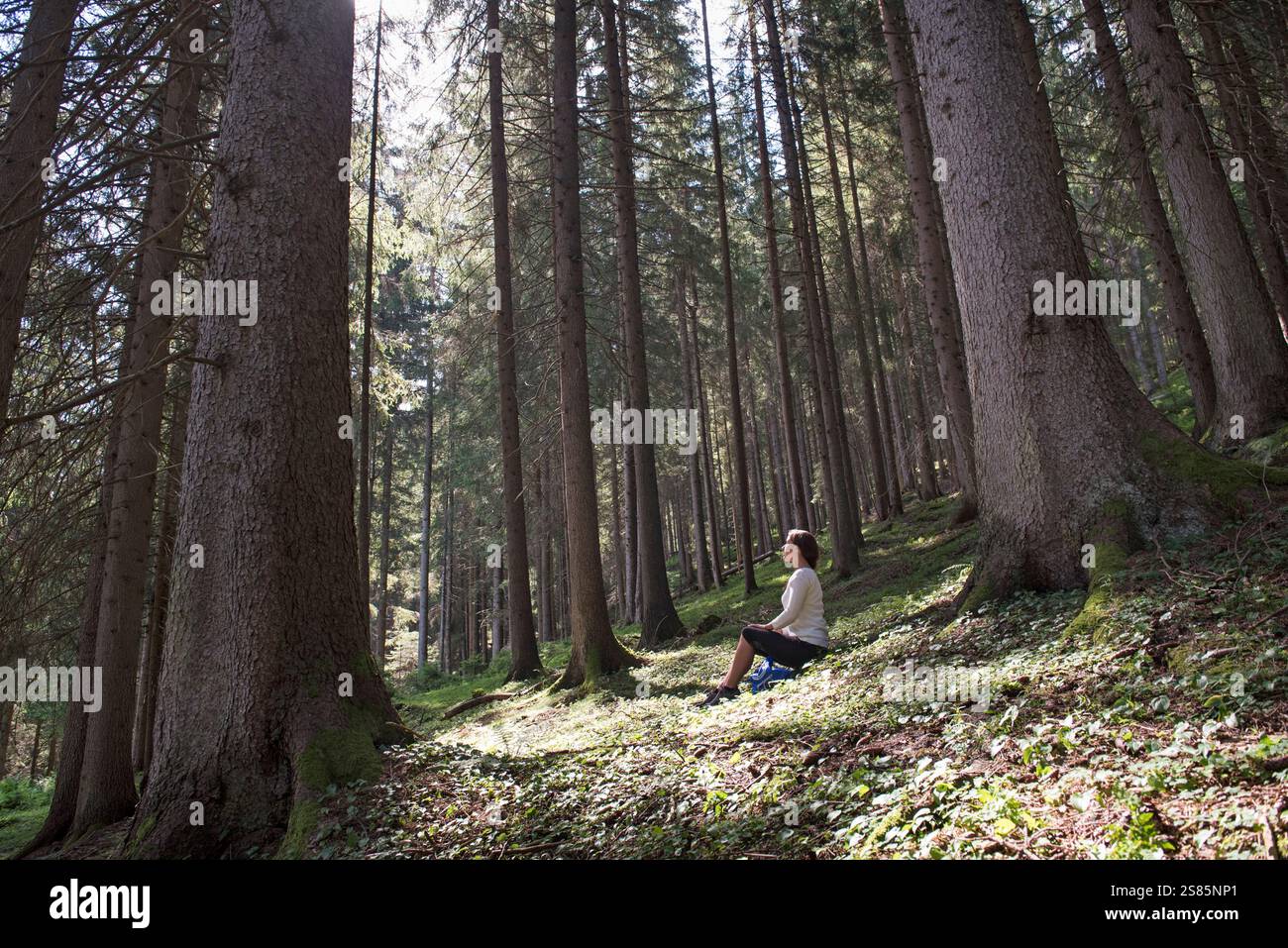 Junge Frau, die sich im europäischen Fichtenwald in der Nähe von Villabassa im Hochpustertal, Südtirol (Südtirol), Italien, erholt Stockfoto