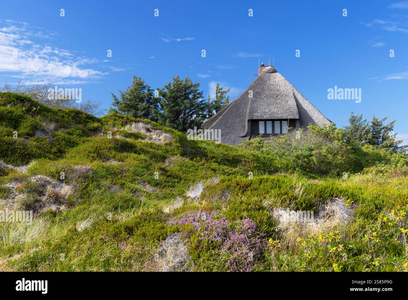 Traditionelles Reethaus, Rantum, Sylt, Schleswig Holstein, Deutschland, Europa Stockfoto