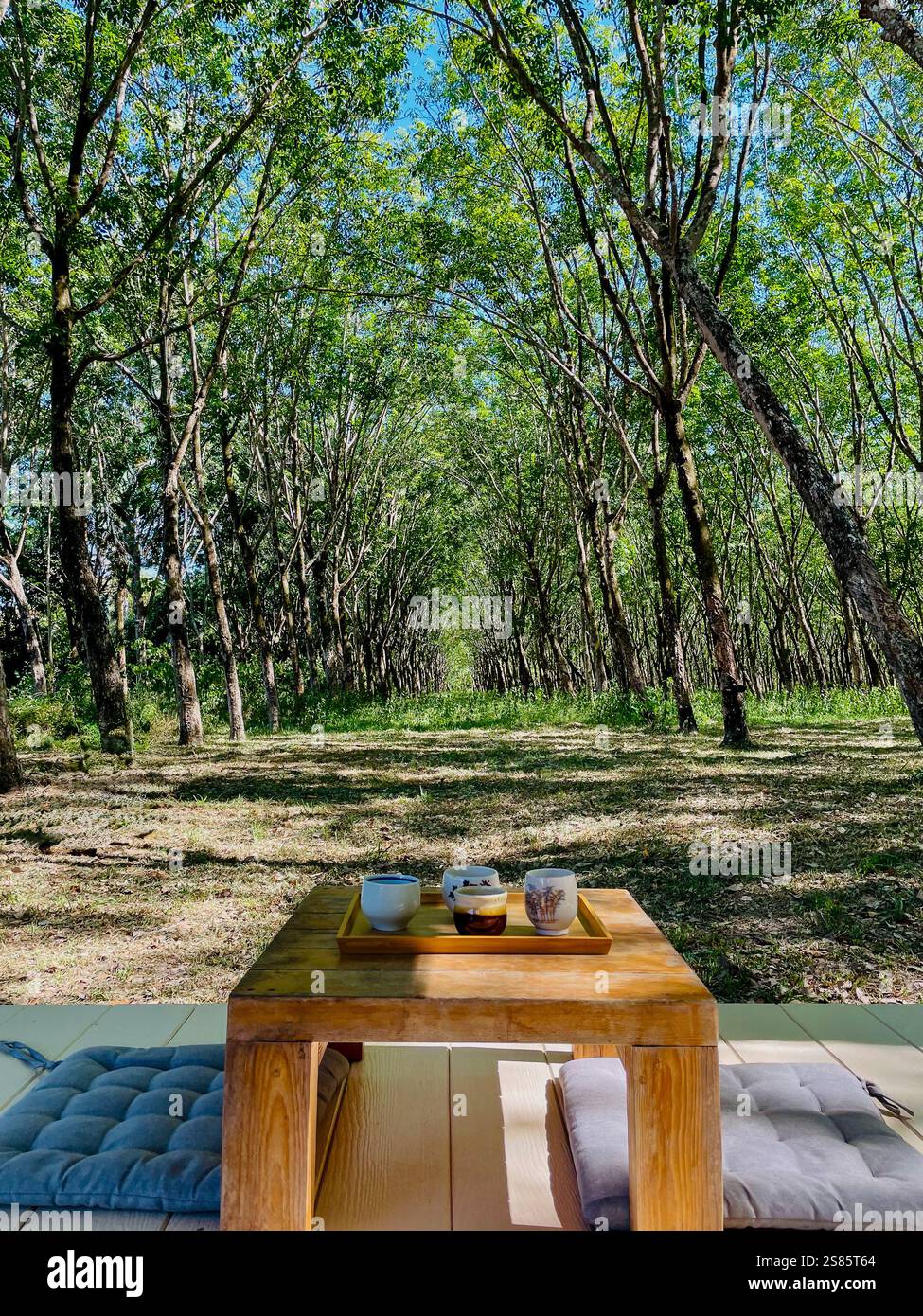 Friedliche Teezeit in einem großen grünen Wald Eine friedliche und ruhige Szene mit einem kleinen Holztisch mit einem Tablett und japanischen Teetassen im Vorgarten - Smartphone-aufgenommenes Stockfoto