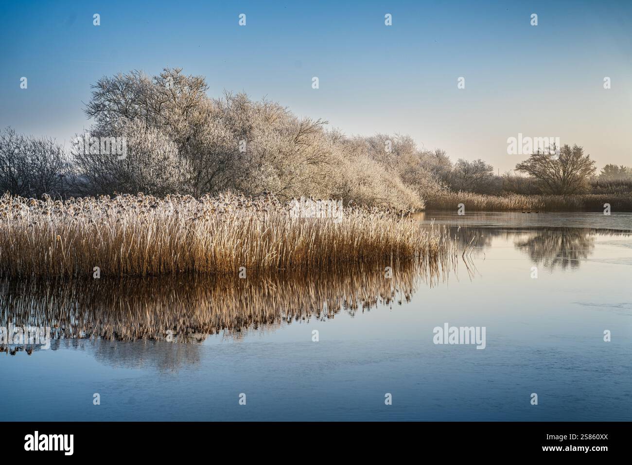 Eine friedliche Winterlandschaft mit einem gefrorenen See, umgeben von weißen, frostigen Bäumen, die den klaren Himmel reflektieren. Stockfoto