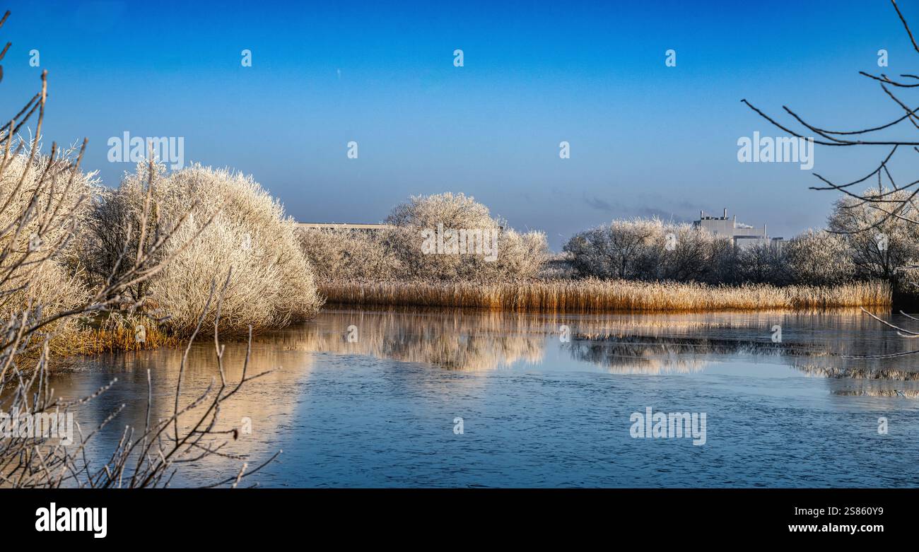Eine friedliche Winterlandschaft mit einem gefrorenen See, umgeben von weißen, frostigen Bäumen, die den klaren Himmel reflektieren. Stockfoto