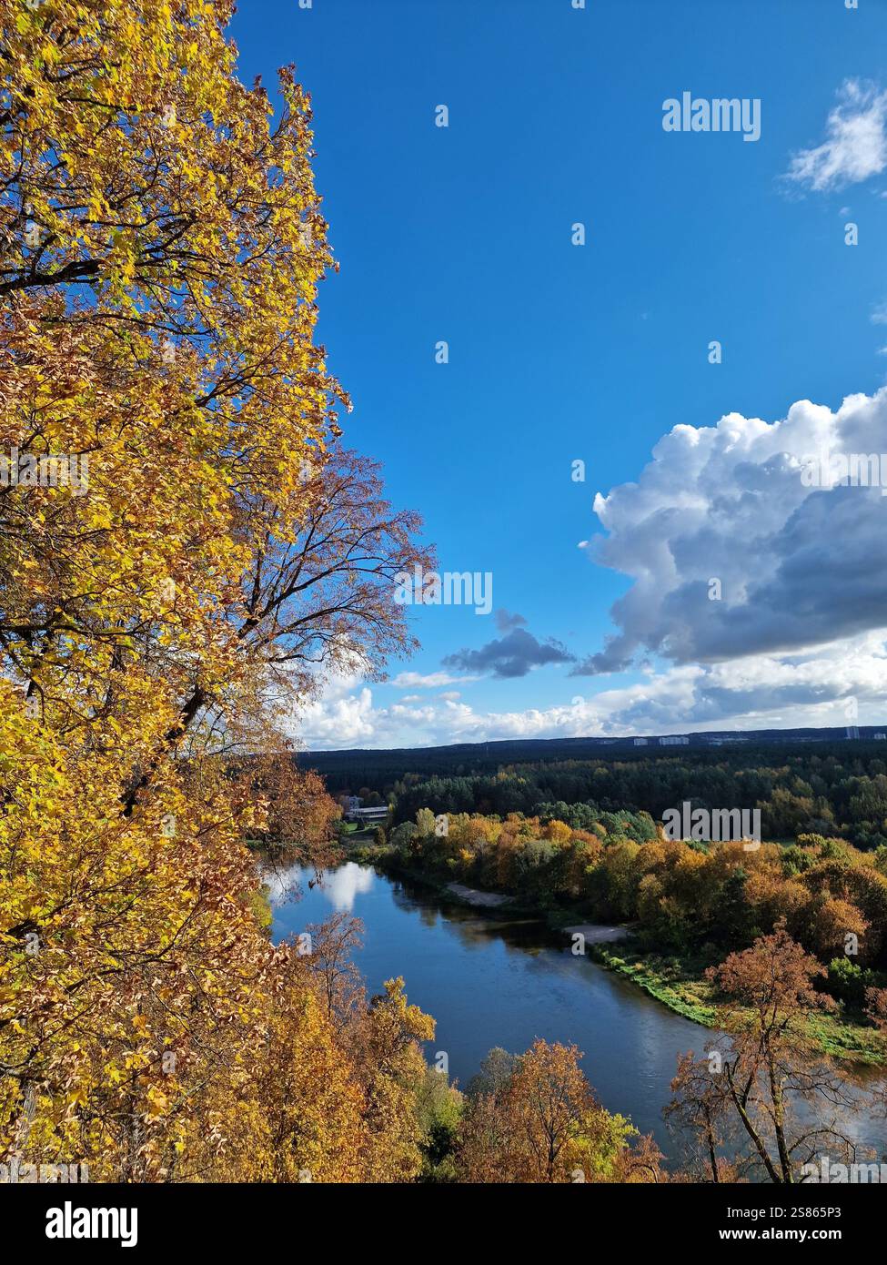 Herbstlandschaft eines Flusses, der sich durch einen Wald schlängelt, der mit lebhaften Herbstfarben gefärbt ist, hellblauer Himmel mit flauschigen Wolken. Ruhige Atmosphäre Stockfoto
