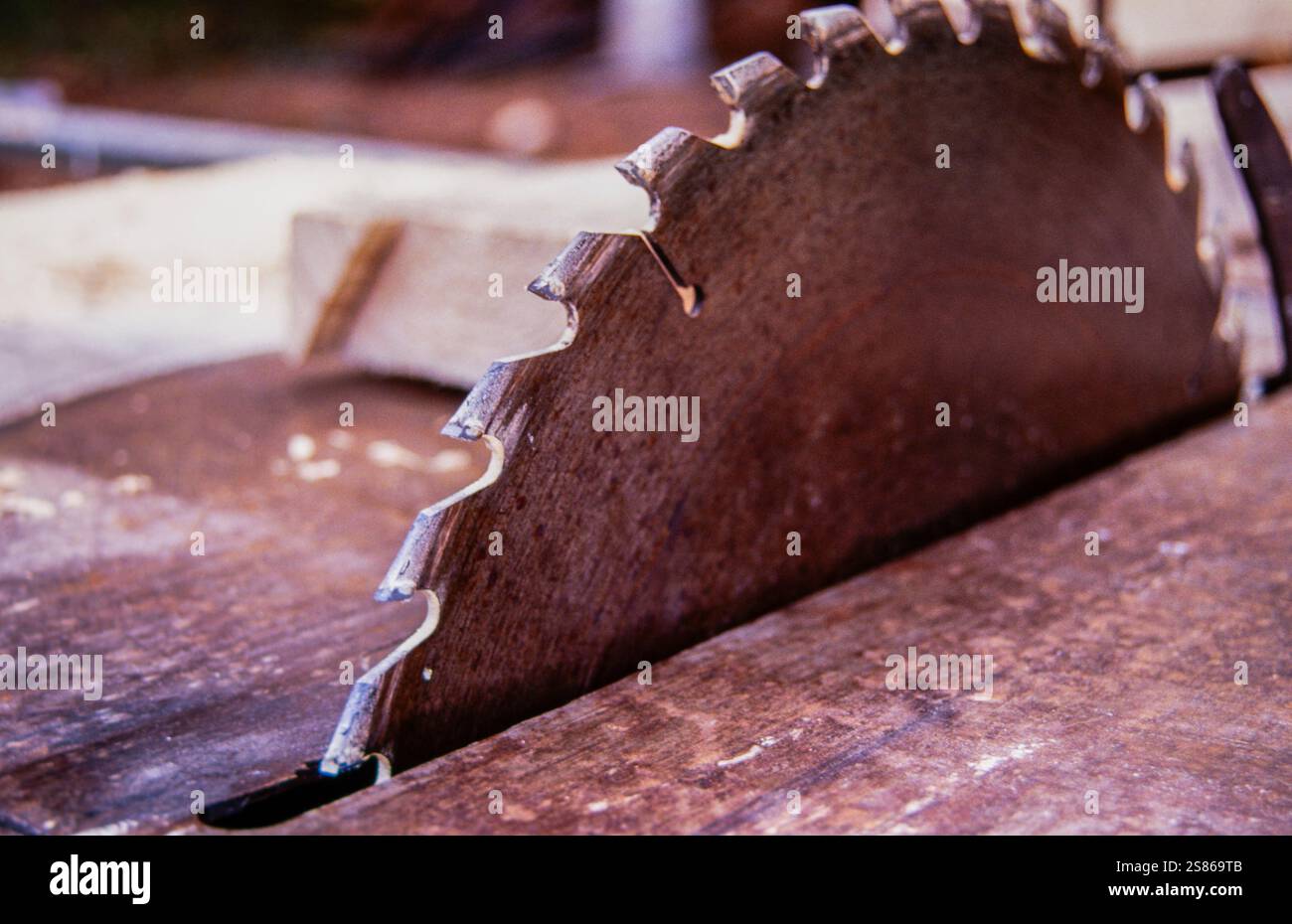 Das Sägeblatt Stockfoto