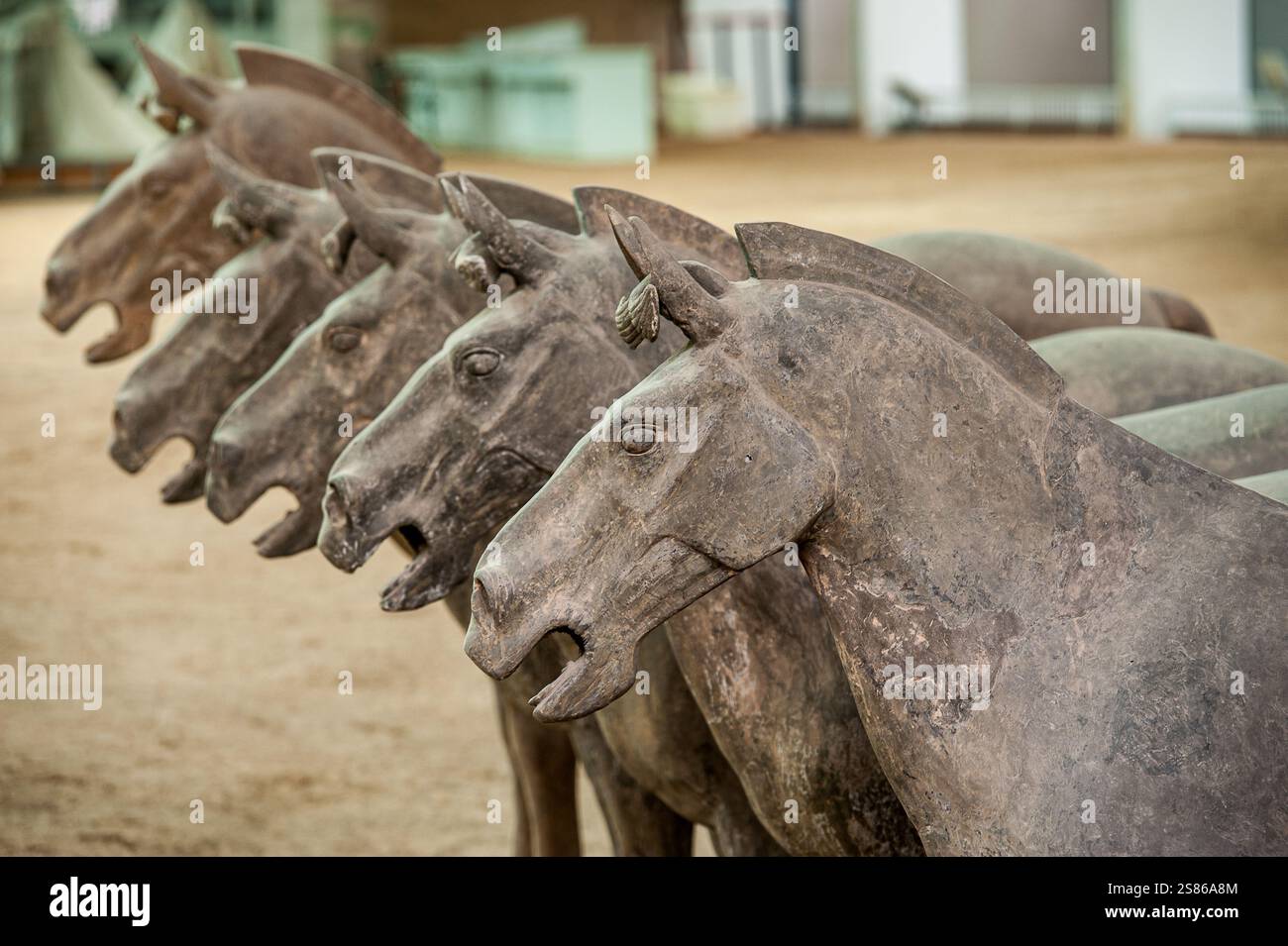 Die Terrakotta-Armee besteht aus 8000 Soldaten, 130 Wagen mit 520 Pferden und 150 Kavallerie-Pferden, die mit dem ersten Kaiser von China begraben wurden Stockfoto