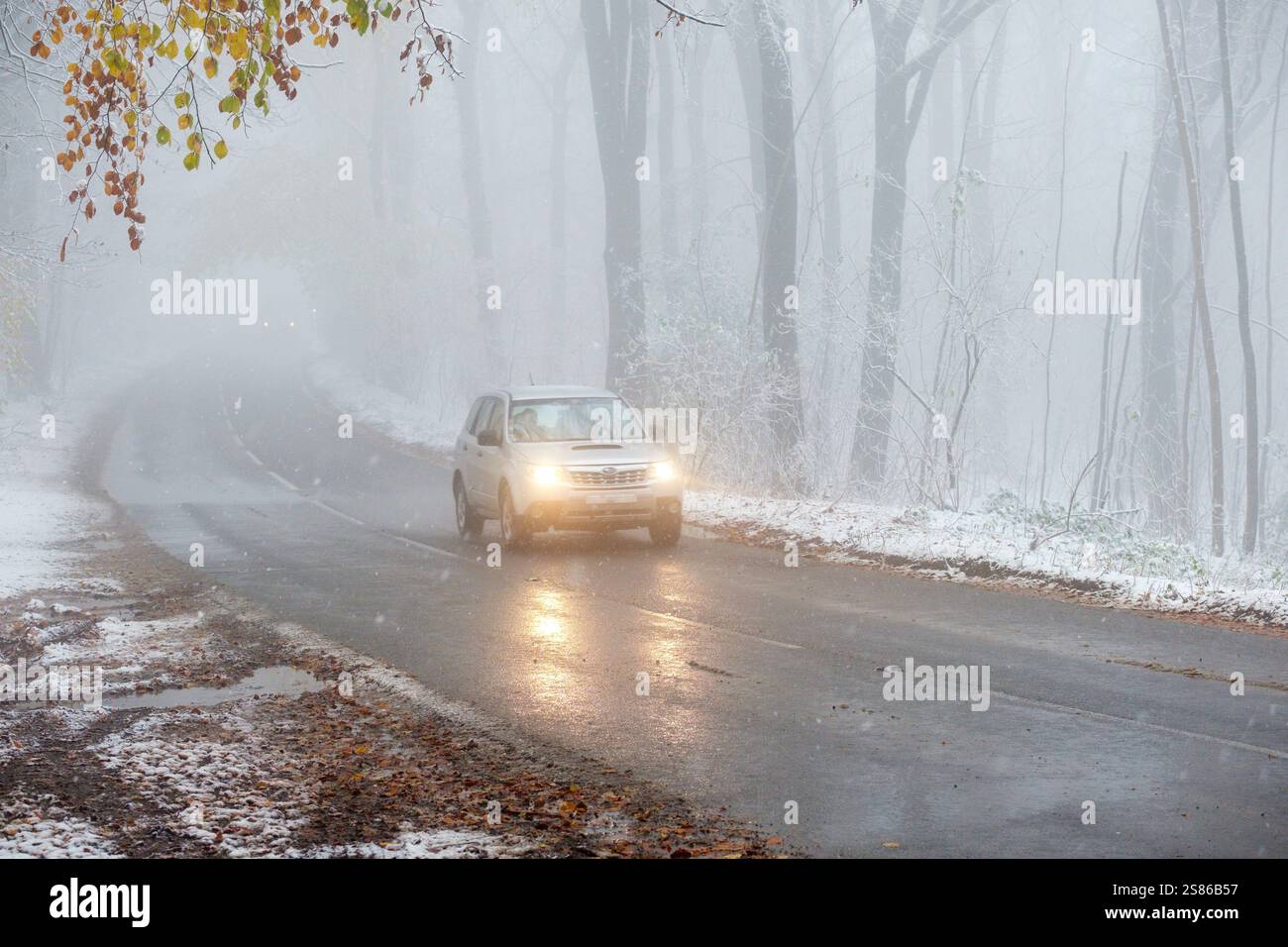 Eine Straße durch einen Wald im Winter mit Autos in nebeliger Schneelage, die für gefährliche Fahrten sorgen. Stockfoto