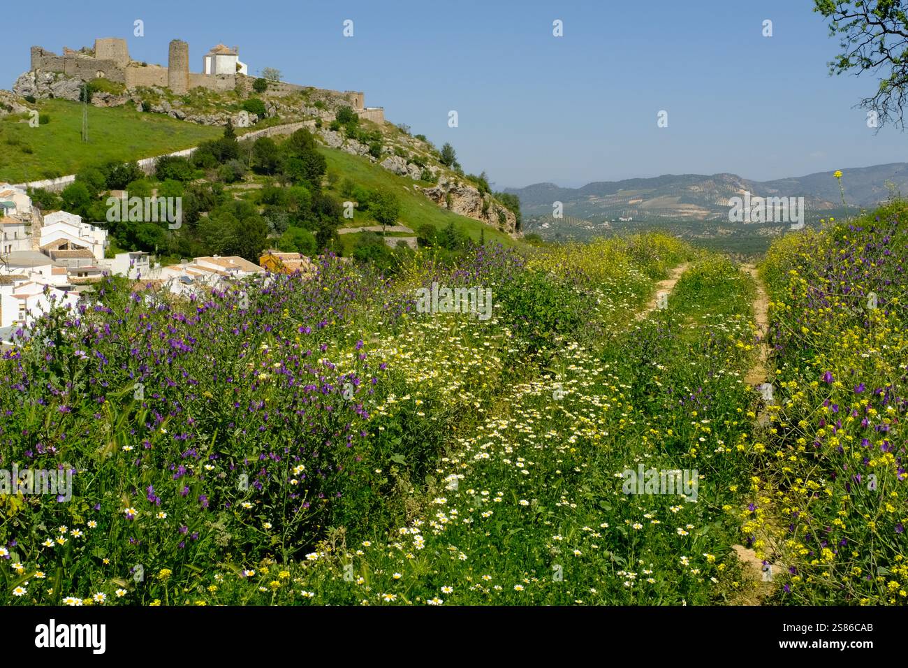 Frühling wilde Blumen auf einem Hügel mit Blick auf die weiße Stadt und das historische Schloss von Carcabuey, Provinz Cordoba, Andalusien, Spanien Stockfoto