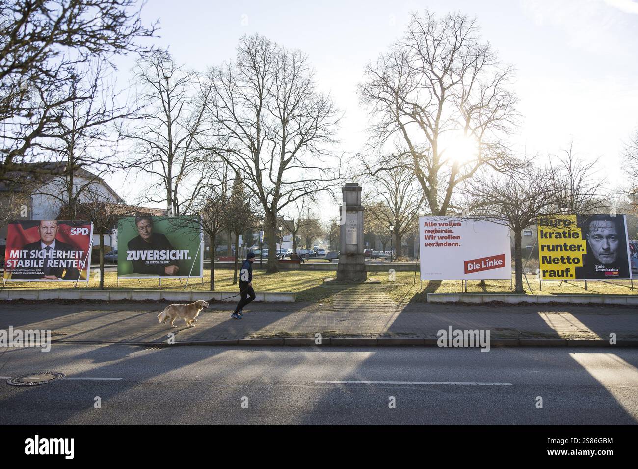 Wahlplakate der Parteien SPD, die Gruenen, die Linke und FDP zur Bundestagswahl am 23. Februar 2025 in Schildow (Mühlenbeck-Mönch) Stockfoto