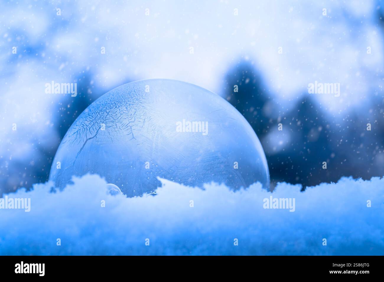 Frozen Bubble mit Fellfellen des Schneefalls Stockfoto
