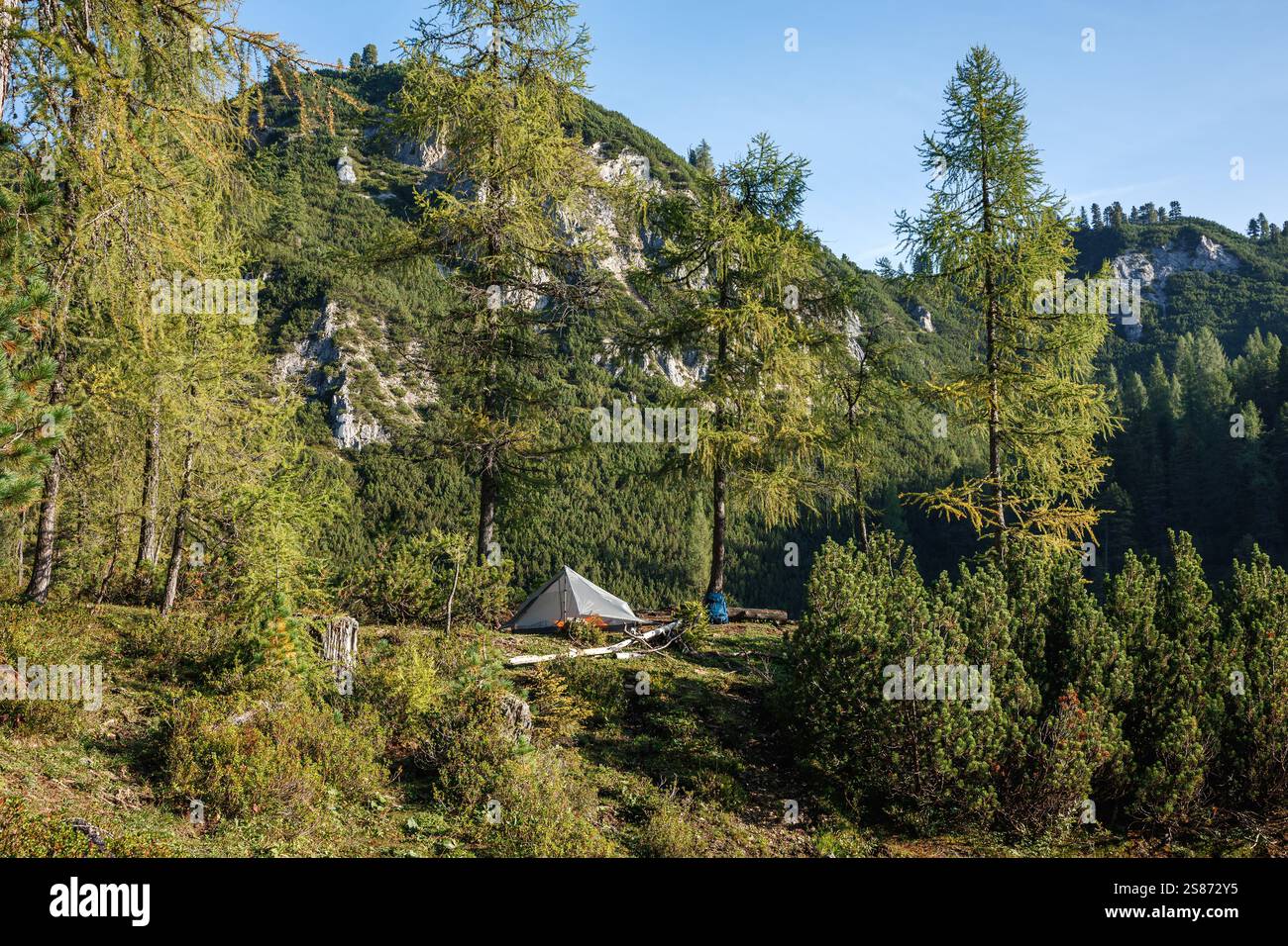 Camping mit ultraleichtem Zelt im Bergwald während der Sommerwanderung Wanderlust. Abenteuer in der Natur Stockfoto