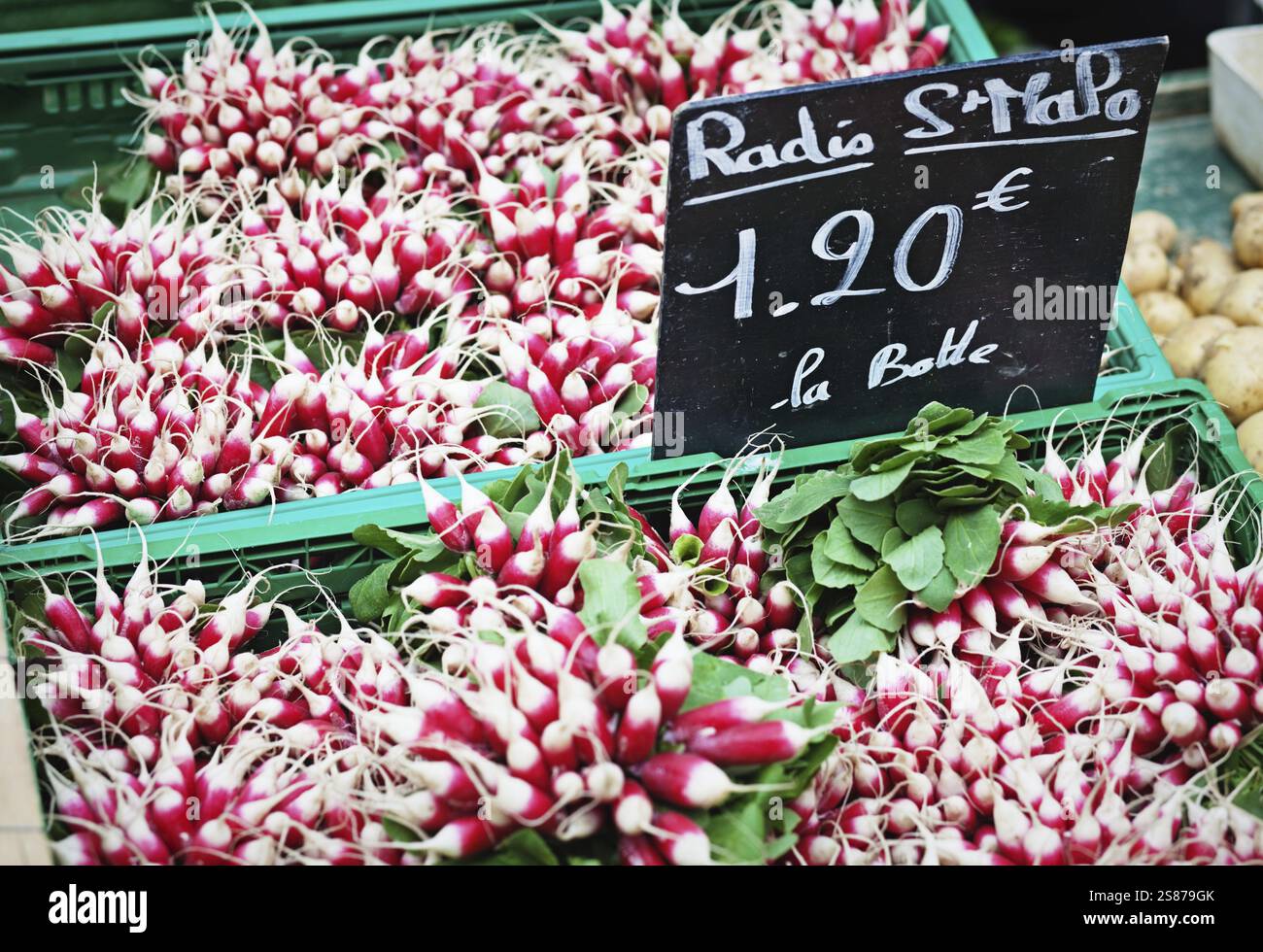Rettich auf einem Bauernmarkt, Preisschild in Französisch, Frankreich, Europa Stockfoto