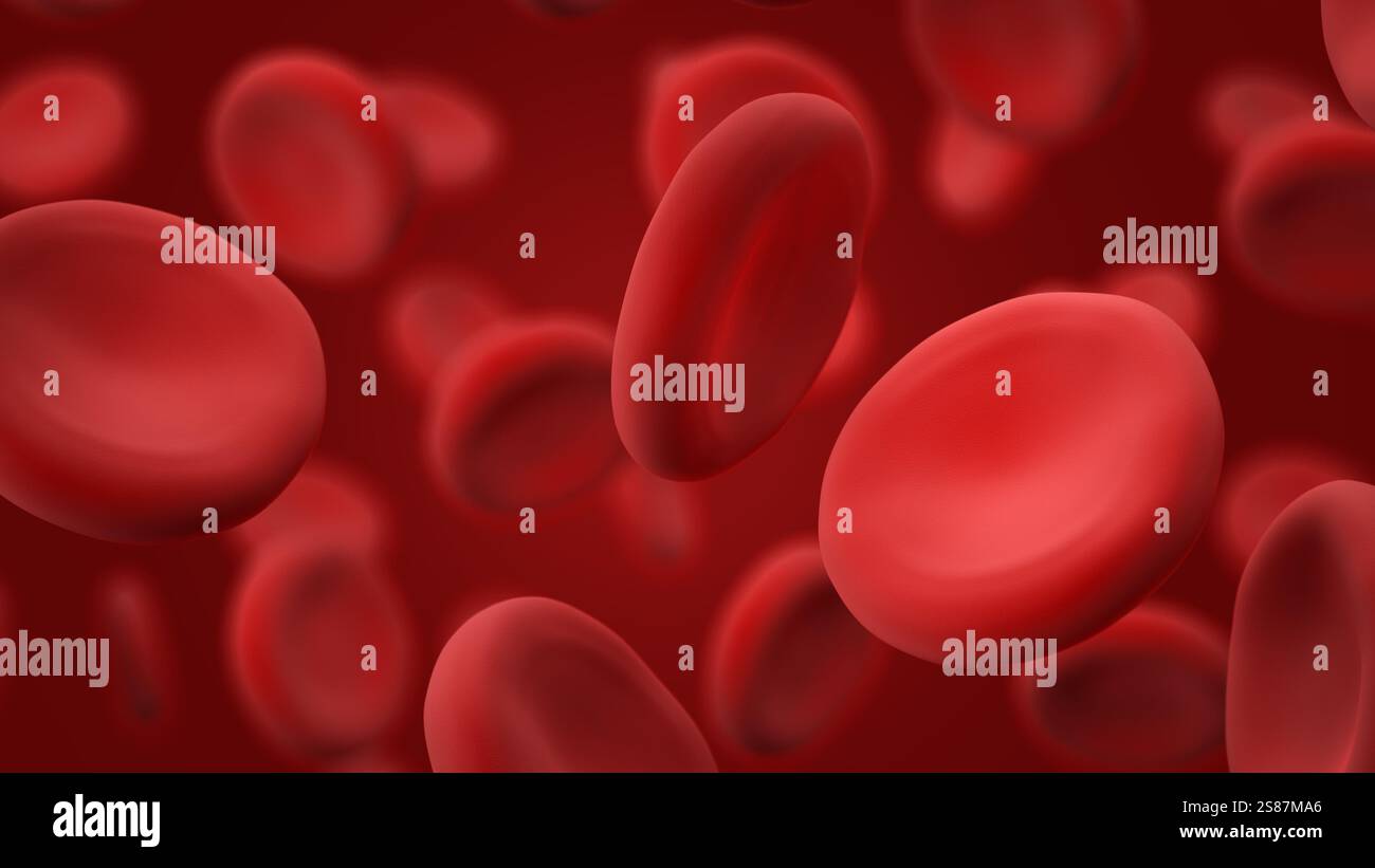 Erythrozyten des Menschen. 3D-Abbildung. Stockfoto