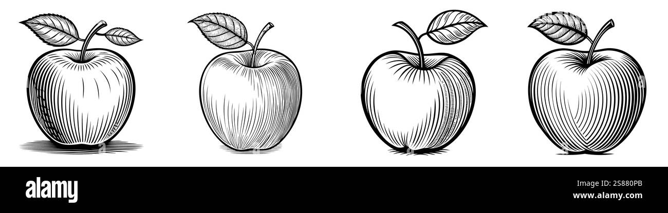Handgezeichnete Apfelskizze. Vintage handgezeichnete Äpfel mit Blättern. Vektorabbildung Stock Vektor