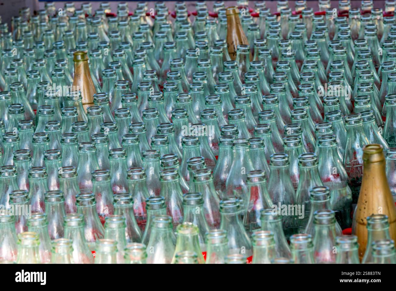 Fahrgeschäfte, Spiele und Speisen auf dem Messegelände CNE Toronto Ontario Stockfoto Fahrgeschäfte, Spiele und Speisen auf dem Messegelände CNE Toronto Ontario Stockfoto