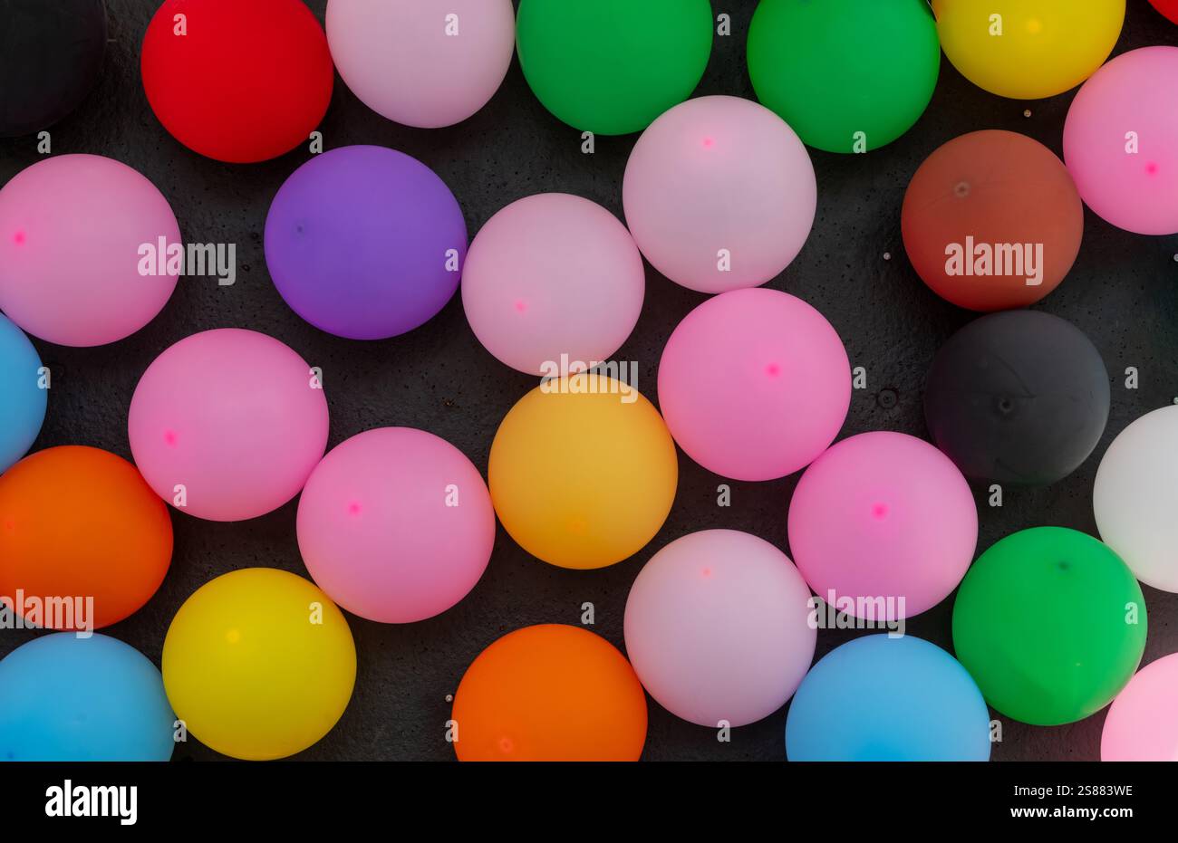 Fahrgeschäfte, Spiele und Speisen auf dem Messegelände CNE Toronto Ontario Stockfoto Fahrgeschäfte, Spiele und Speisen auf dem Messegelände CNE Toronto Ontario Stockfoto