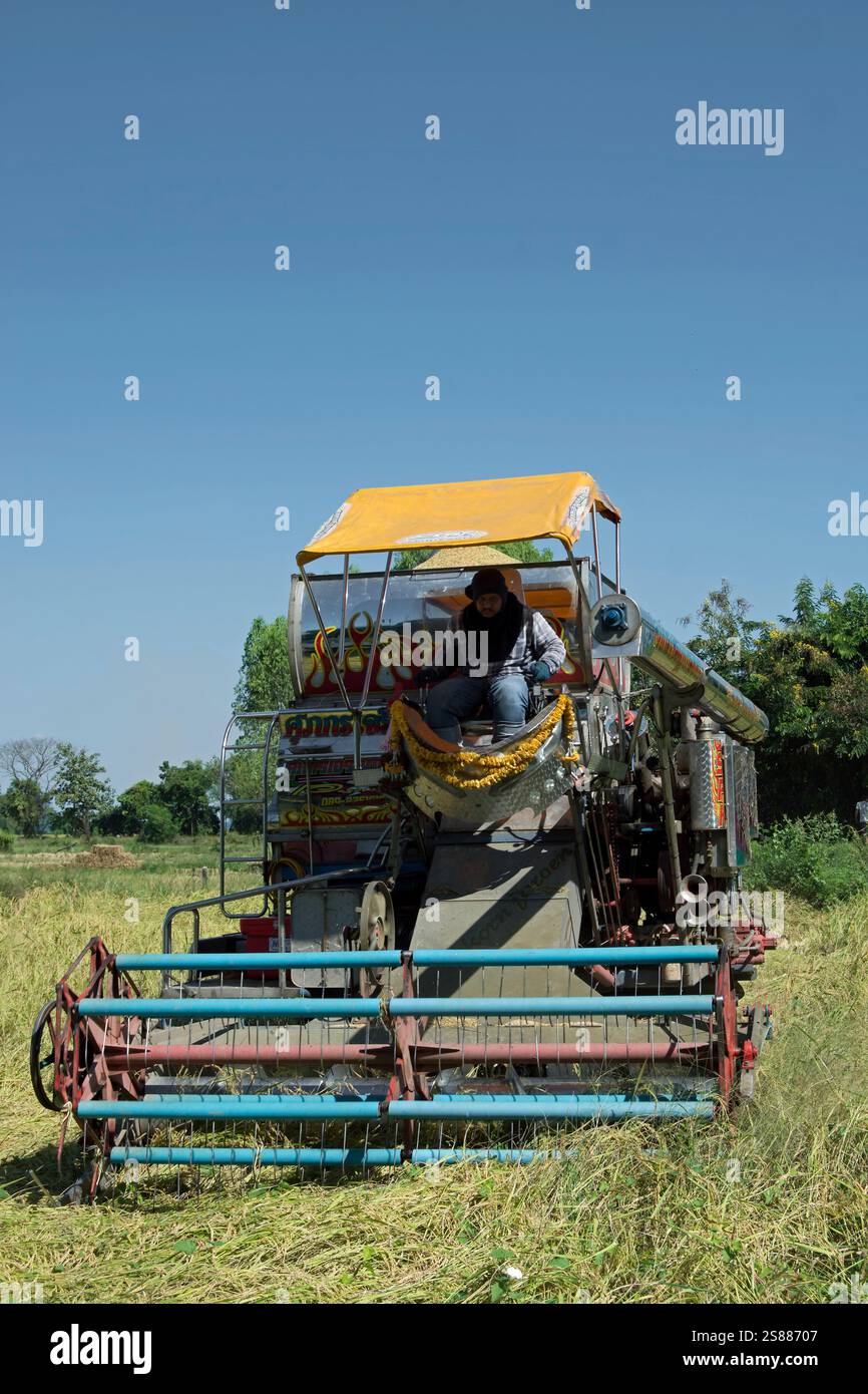 Fahrer an einer farbenfrohen Dreschmaschine arbeitet auf einer kleinen Reisfarm in der Provinz phetchabun im ländlichen thailand Stockfoto