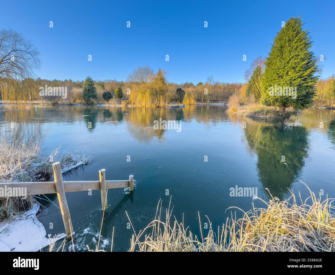 Hölzerner Handlauf mit untergetauchten Stufen, der in einen gefrorenen Schwimmteich führt und unter einem sonnigen, winterblauen Himmel glitzert. York, Großbritannien Stockfoto