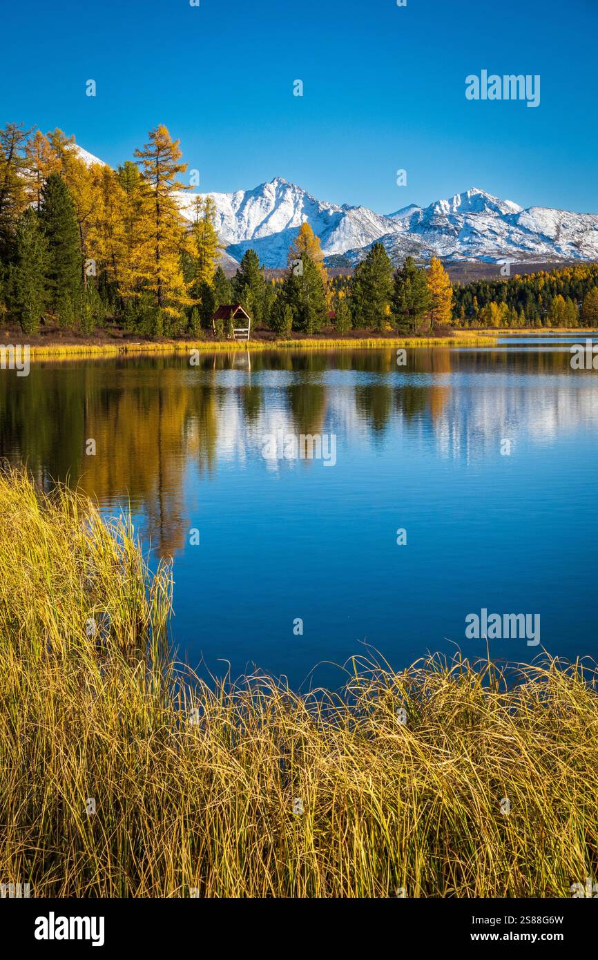 Ruhige Aussicht auf einen reflektierenden See mit goldenen Bäumen und schneebedeckten Gipfeln im Hintergrund Stockfoto