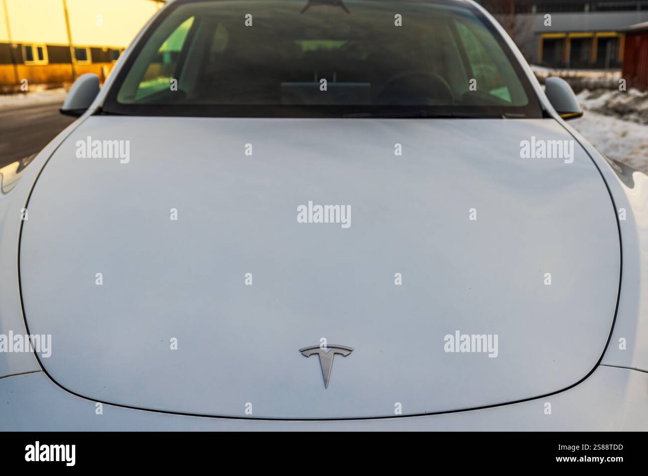 Tesla Model Y Kapuze vorne mit Emblem, das weiches Tageslicht reflektiert, mit aerodynamischem Design und minimalistischem Äußeren. Schweden. Stockfoto