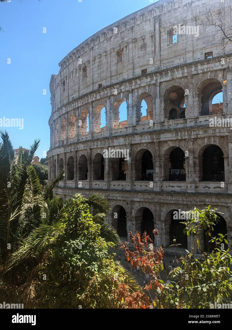 Das Kolosseum ist von üppigem Grün umgeben und seine sonnendurchfluteten Bögen sind ein zeitloses Symbol der Geschichte und Architektur Roms. Stockfoto