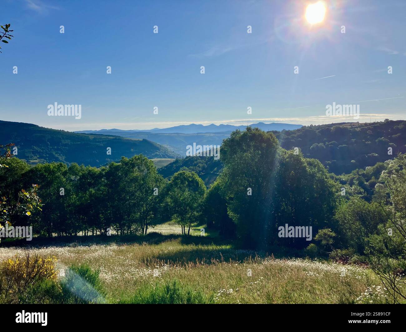 Sonnenschein am frühen Morgen auf dem französischen Jakobsweg zwischen O Cebreiro und Triacastela in Galicien - Smartphone-aufgenommenes Stockfoto