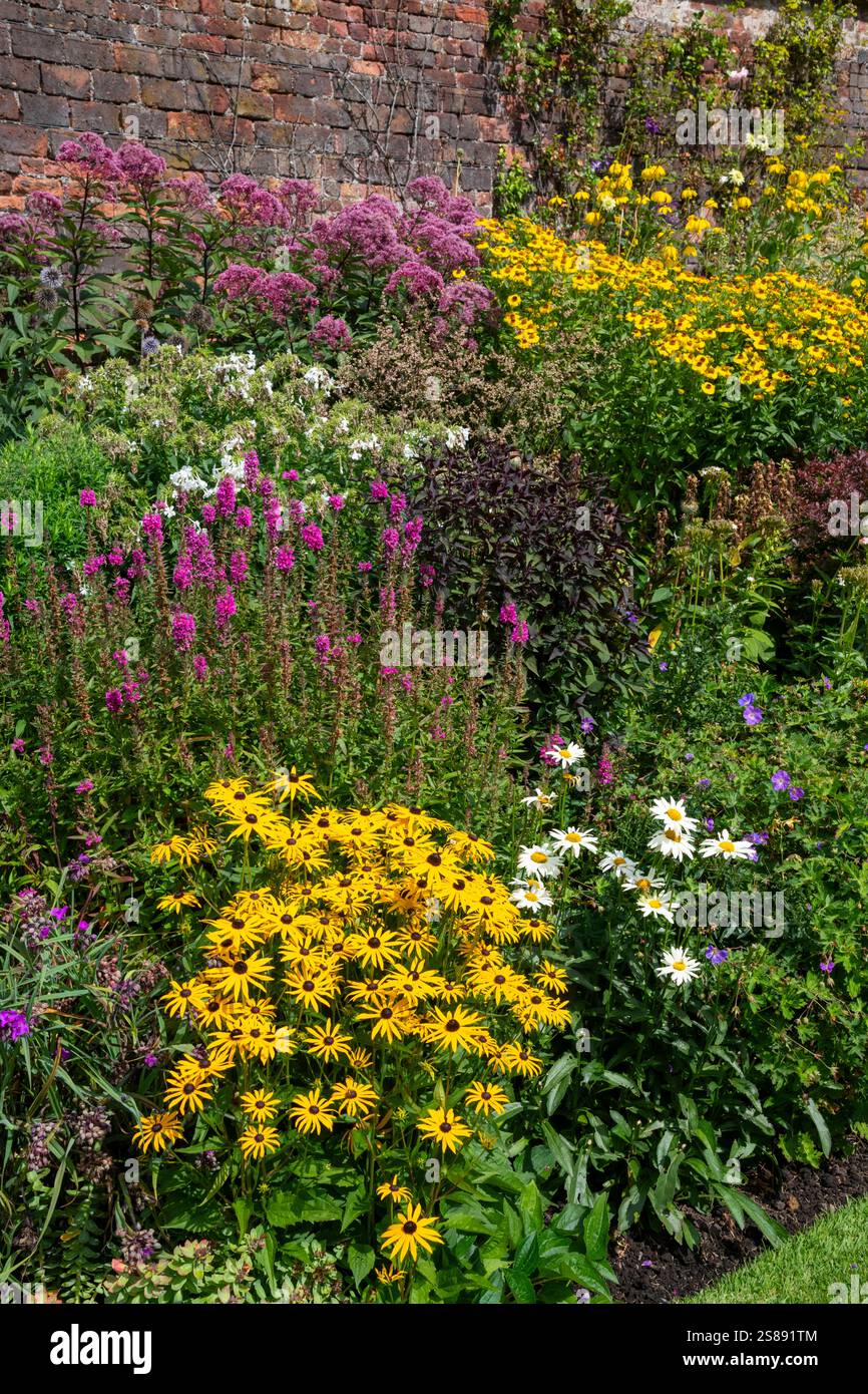 Im Spätsommer gibt es eine krautige Grenze voller farbenfroher Stauden in einem englischen Garten. Stockfoto