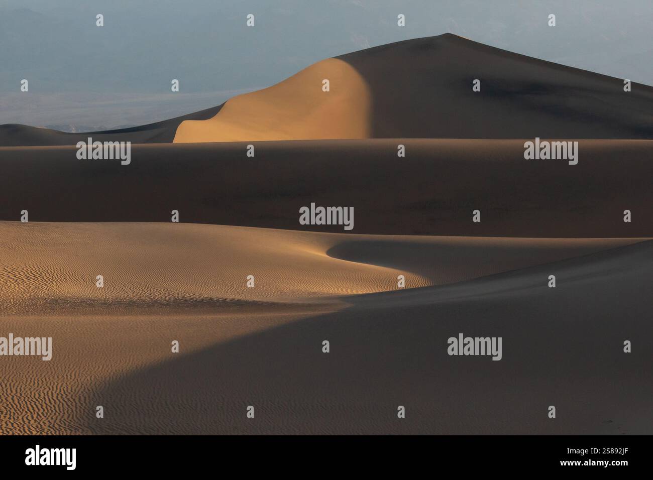 Das Licht der Golden Hour wirft Schatten über die Sanddünen des Death Valley National Park und hebt die Texturen und Kurven der Wüste hervor. Stockfoto