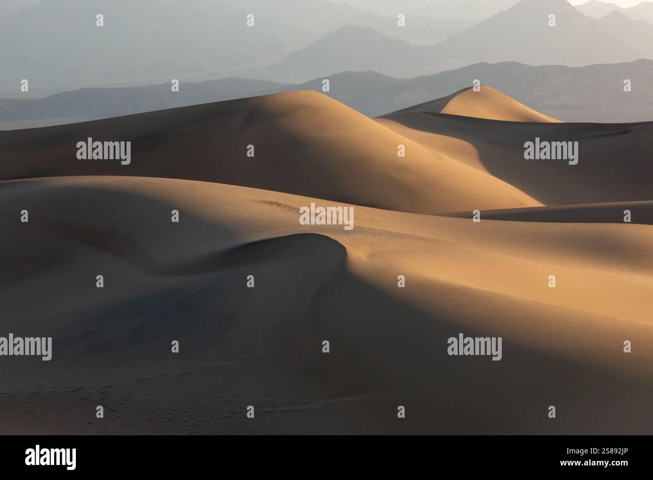 Das Licht der Golden Hour wirft Schatten über die Sanddünen des Death Valley National Park und hebt die Texturen und Kurven der Wüste hervor. Stockfoto