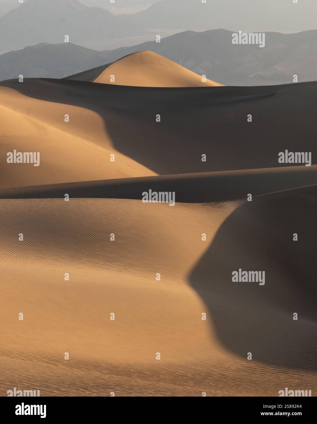 Das Licht der Golden Hour wirft Schatten über die Sanddünen des Death Valley National Park und hebt die Texturen und Kurven der Wüste hervor. Stockfoto
