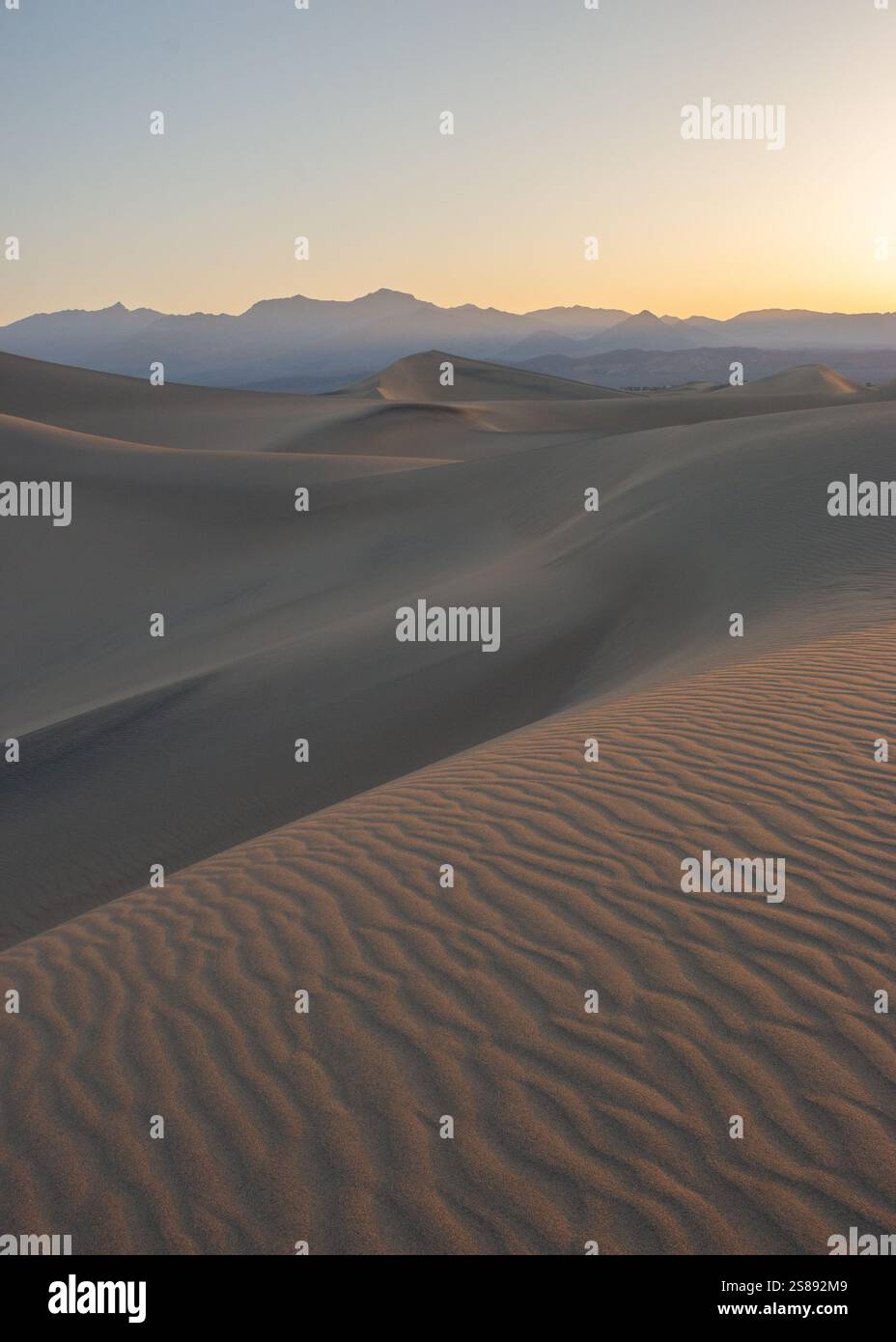Das Licht der Golden Hour wirft Schatten über die Sanddünen des Death Valley National Park und hebt die Texturen und Kurven der Wüste hervor. Stockfoto
