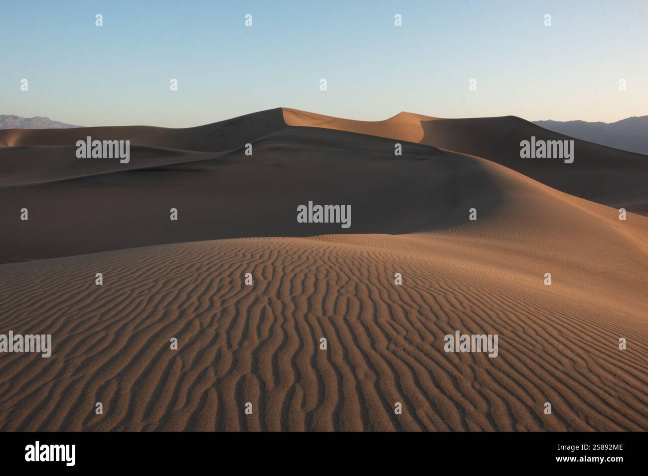 Das Licht der Golden Hour wirft Schatten über die Sanddünen des Death Valley National Park und hebt die Texturen und Kurven der Wüste hervor. Stockfoto