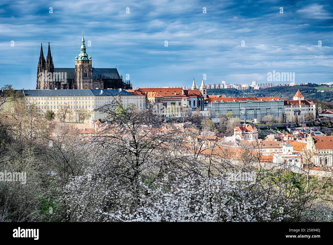 Blick auf den Veitsdom und die Hradcany vom Petrin Park aus, der die Stadt Prag überblickt. Stockfoto