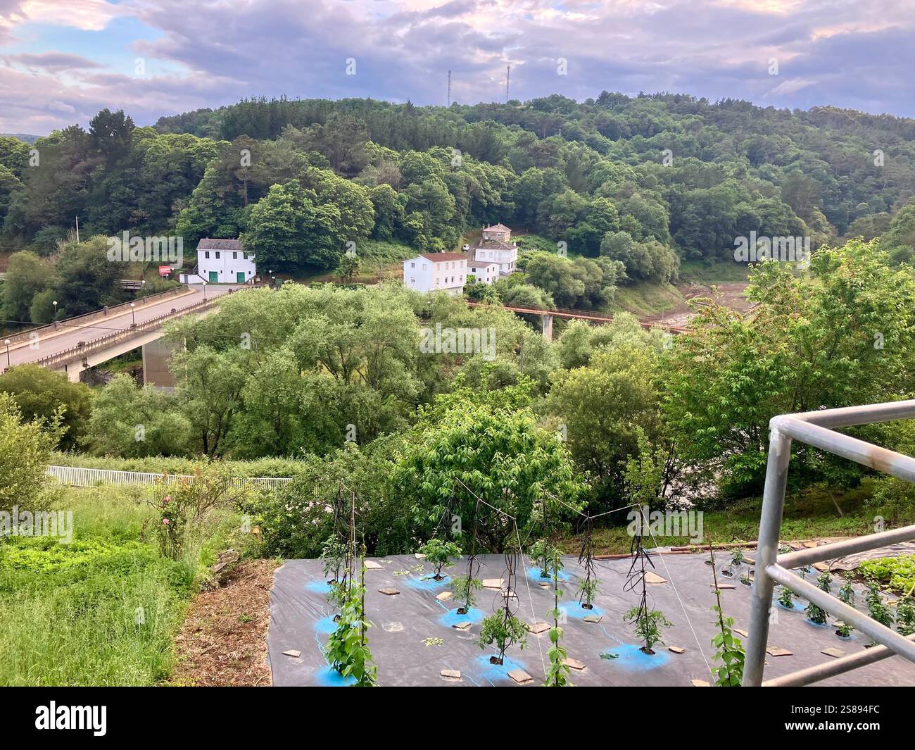 Blick auf den Rio Miño, Portomarin, Galicien - Smartphone-aufgenommenes Stockfoto