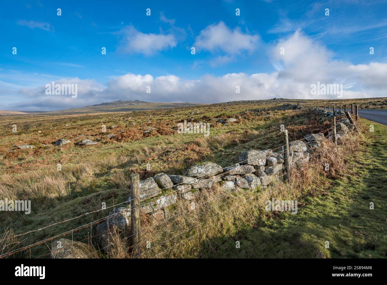 Bauernhof Steinmauer auf Dartmoor Devon Stockfoto