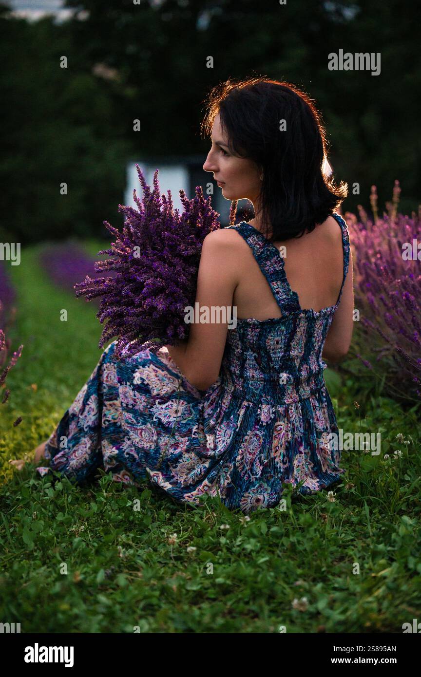 Eine junge Frau in einem gemusterten Sommerkleid sitzt in einem Lavendelfeld. Sie hält einen großen Blumenstrauß der lila Blumen. Die Szene ist eingetaucht Stockfoto