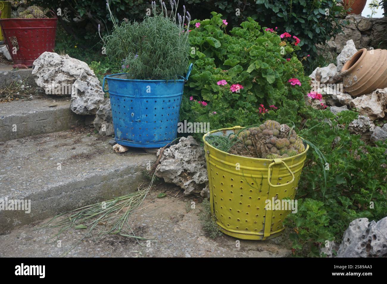 Alte Weinlese-Behälter mit Löchern haben eine zweite Chance und eine neue Verwendung als Pflanzgefäße im Garten - die Dinge anders wiederverwenden Stockfoto