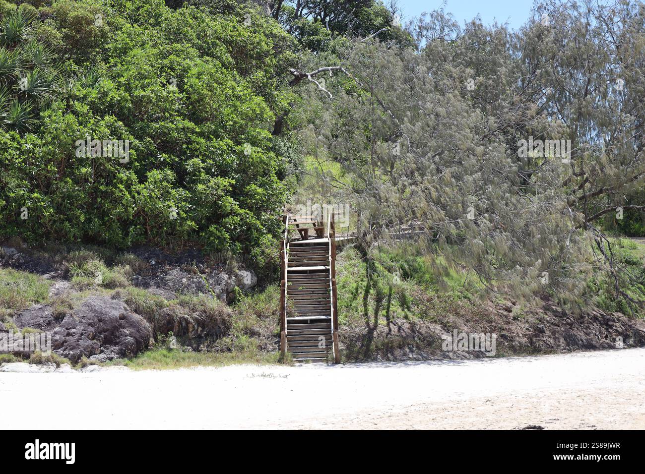 Eine Holztreppe erhebt sich vom Sandstrand auf einen bewaldeten Hügel Stockfoto