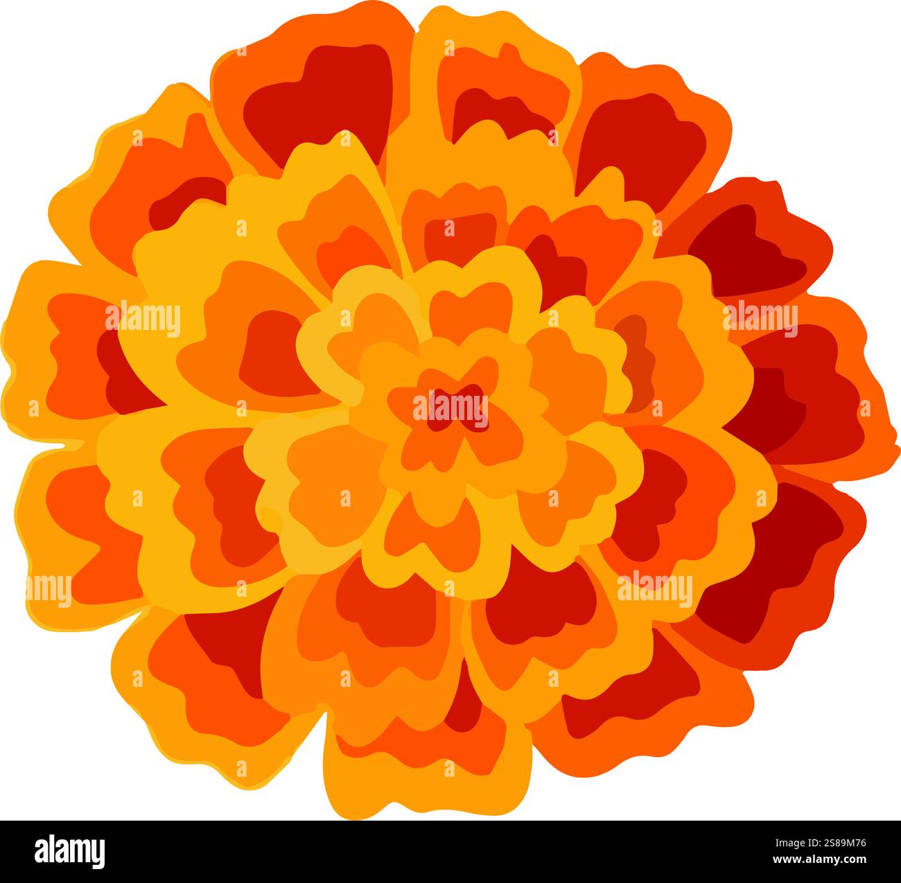 Ein gelb-orangefarbenes Ringelblume. Blumendekoration für indische Blumengirlande toran. Zendu Blume isoliert auf Hintergrund. Diwali, Halloween Dia de Stock Vektor