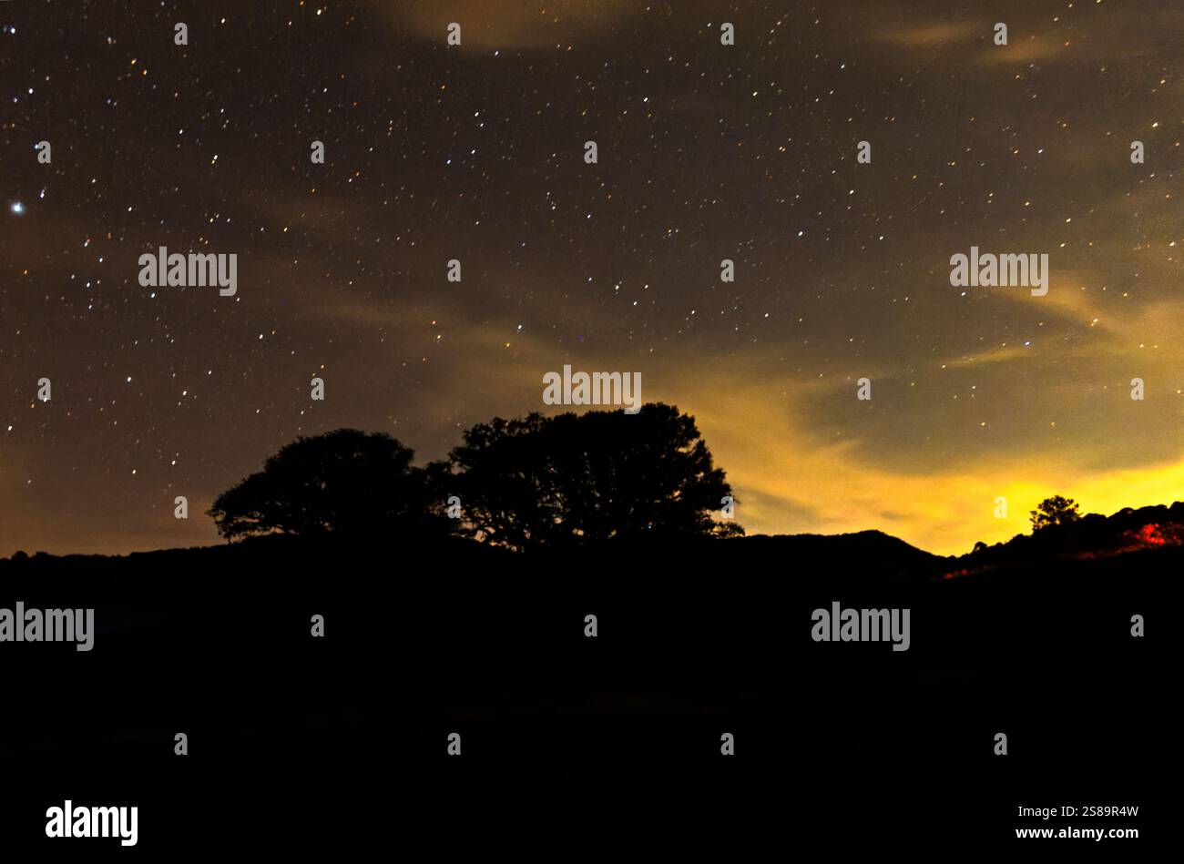 Eine friedliche Nacht entfaltet sich auf dem Land, während unzählige Sterne den dunklen Himmel erleuchten. Silhouettenbäume stehen vor der Kulisse eines fernen Berges Stockfoto