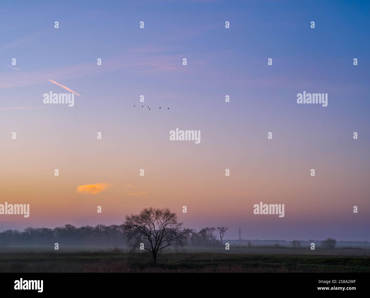 Nach Sonnenuntergang in den Tälern von Comacchio im Winter ist dieses Feuchtgebiet Teil des Regionalparks Po Delta. Provinz Ferrara, Emilia-Romagna, Italien Stockfoto