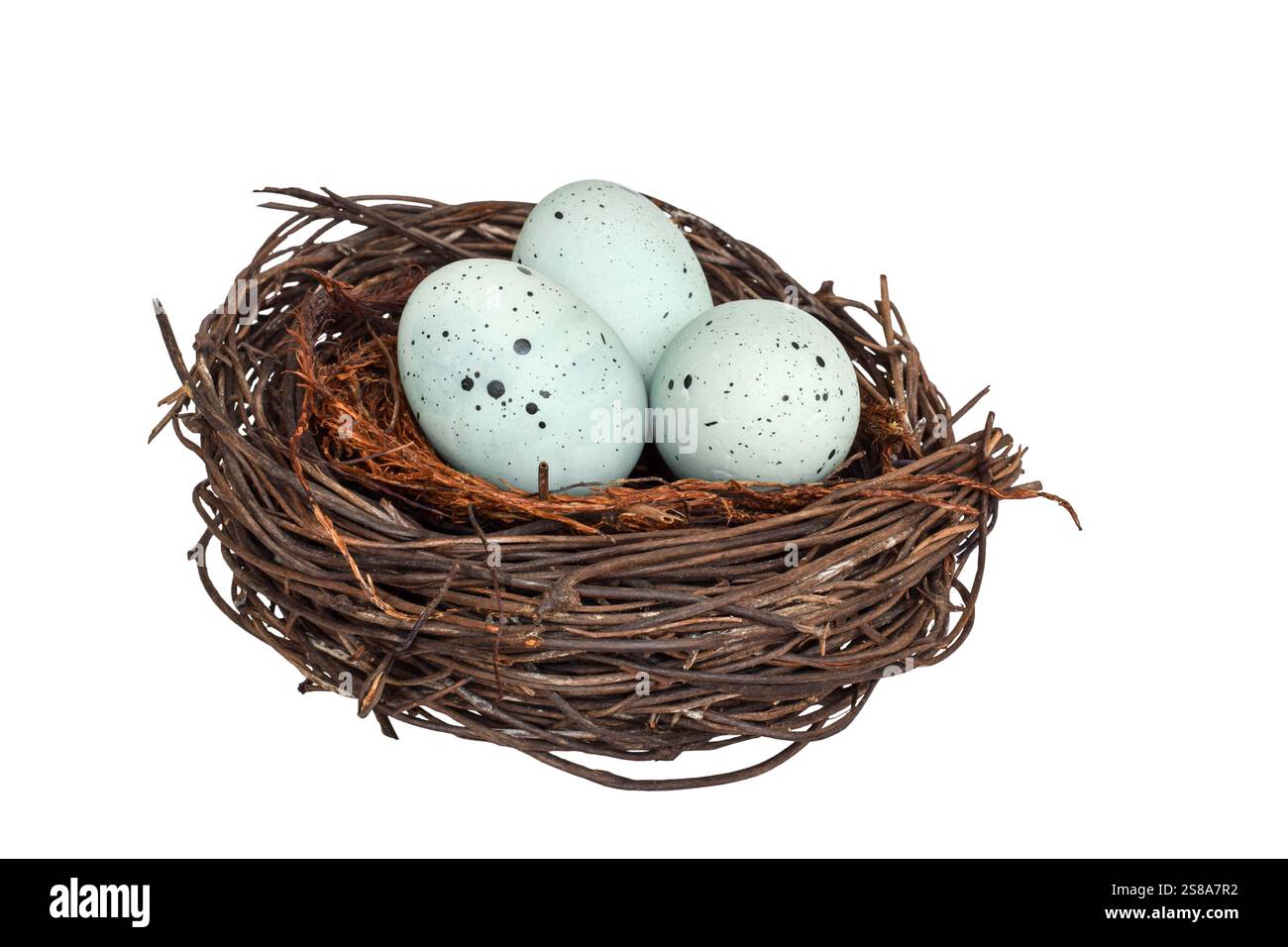 Vogelnest mit blauen rotkehleiern, isolierter Ausschnitt auf weiß Stockfoto