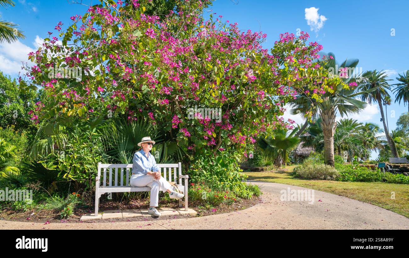 а Frau, die sich auf einer Bank in einem Park in Florida ausruht, an einem schönen sonnigen Tag Stockfoto